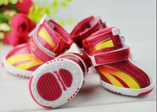 Summer Pet shoes with color green