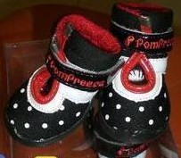 Princess canvas shoes dog shoes