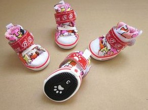 Summer cool Pet shoes