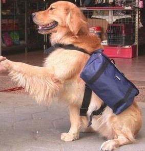 Pet bag