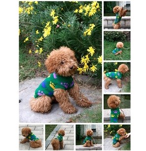 Pet dog sweater QD-2124