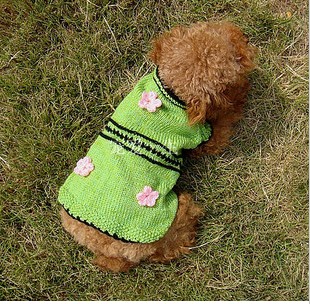 Pet dog sweater QD-2124