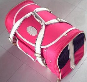 Pet Carrying Case