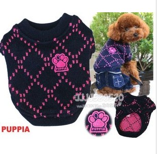 Dog sweater puppies