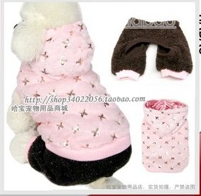 Dogs and Cats color hooded sweater