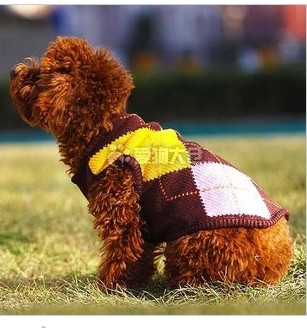 Disney dog â€‹â€‹sweater