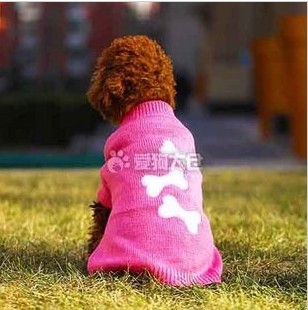 Dogs and Cats color hooded sweater