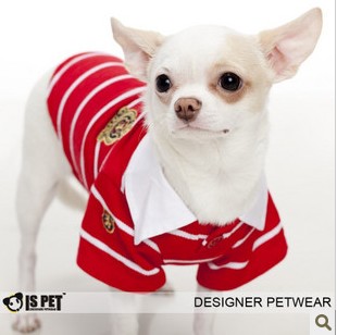 Pet Clothing Spring and Autumn