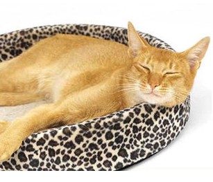 Pet Bed