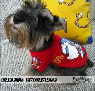 Pet clothing / dog with a poncho