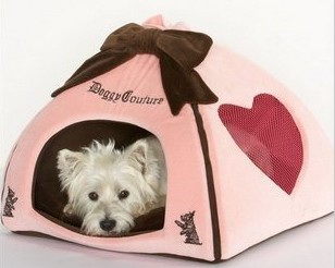 Fashion pet wear iron