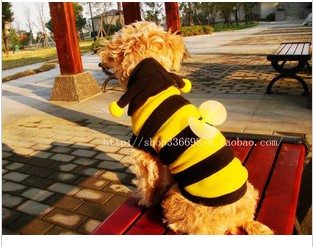 J214020 cotton cap with red stripes, pet costumes