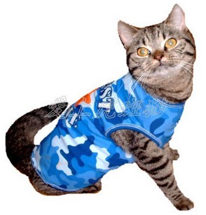 Pet clothes, pet supplies (orange SS)