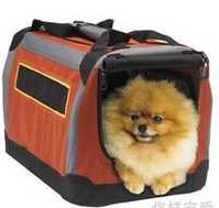 Luxury pet packages Snoopy