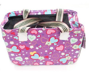 Multi-function four-hole pet carriers back chest