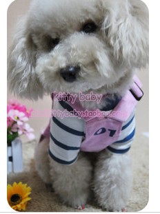 Pet clothing ice cream stripe hooded sweater