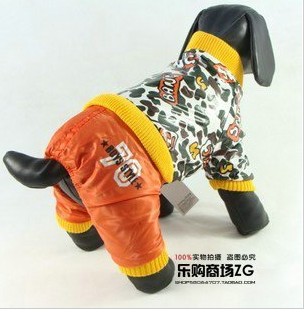 Dog Sportswear