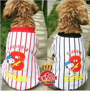 Teddy clothing / dog sportswear