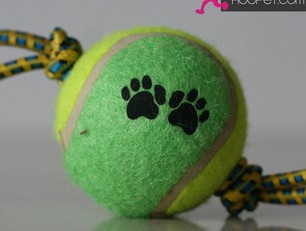 Pet toy ball sound