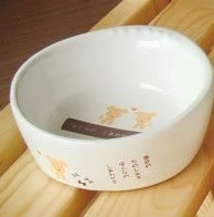 Dog bowl / utensils / tableware