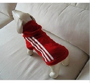 Teddy clothing / dog sportswear