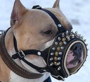 Simple Pet muzzle