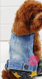 Dog clothes, pet clothing jeans