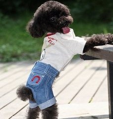 Dog denim shirt / pink jeans big dog