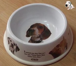 Thick stainless steel pet bowls