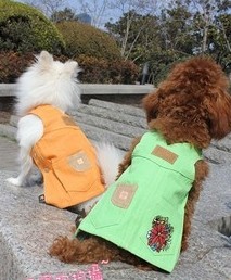 Light color T shirt dog clothes, jeans