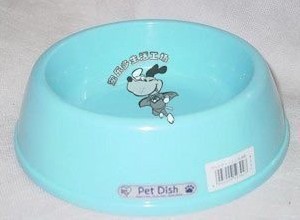 Fancy pet bowl dog bowl cat bowl