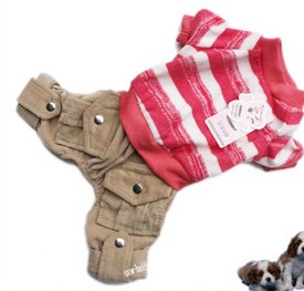 Light color T shirt dog clothes, jeans