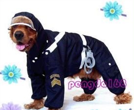 Pet cat raincoat poncho raincoat dog raincoat