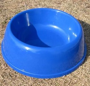 Red Dog bowl