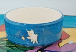 Pet bowl with cartoon images