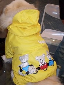 Beautiful little girl cute dog raincoat poncho