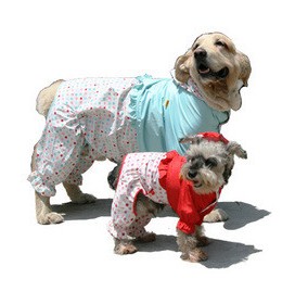 Dog raincoat poncho four legs legs