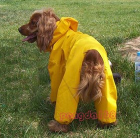 raincoat dog raincoats pet costumes