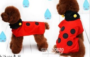 Japan PET P * SE ultra portable Meng debut ladybug dog raincoat