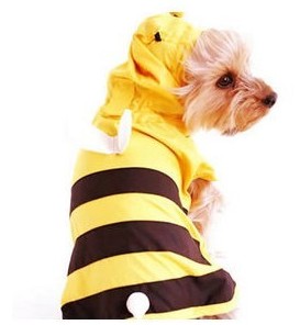 disney Disney dog â€‹â€‹raincoat