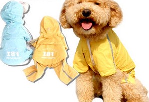 Cute Cartoon Pig legs large dog raincoat number