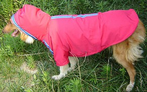 disney Disney dog â€‹â€‹raincoat