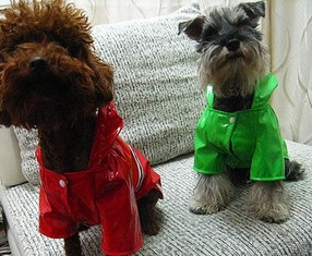 Dog raincoat dog raincoat poncho rain gear legs