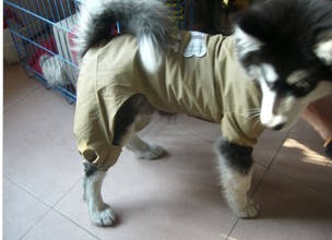 Dog raincoat dog raincoat poncho rain gear legs