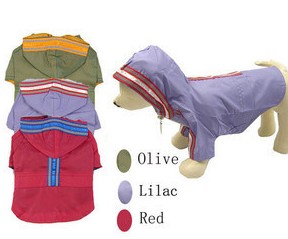 Tim beloved dog to dog raincoat