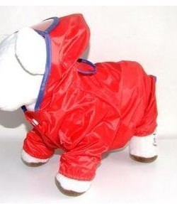 Small dog clothes small dog raincoat