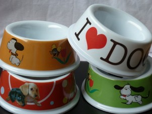 Pet bowl dog bowl double bowl double bowl round the table eating a bowl tableware