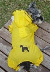 Double hooded raincoat pet pet dog raincoat