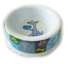 Dual ceramic bowl pet bowl