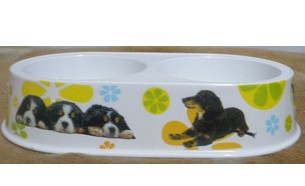 5-inch bowl of dog fashion exquisite tableware